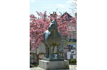 Naous Statue en bronze du célèbre étalon breton ©Sonya Henrionnet